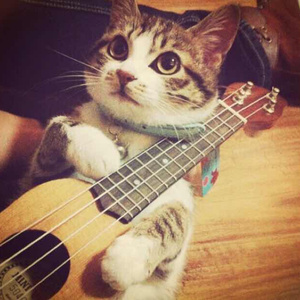 插B赤裸裸的性交
